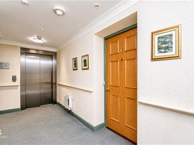 Picture 12